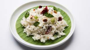 Benefits of curd rice