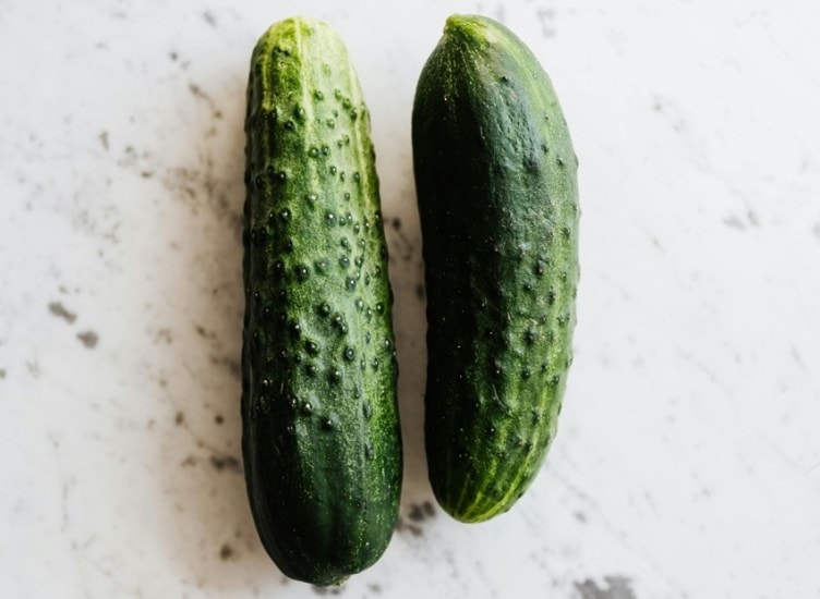 Cucumber