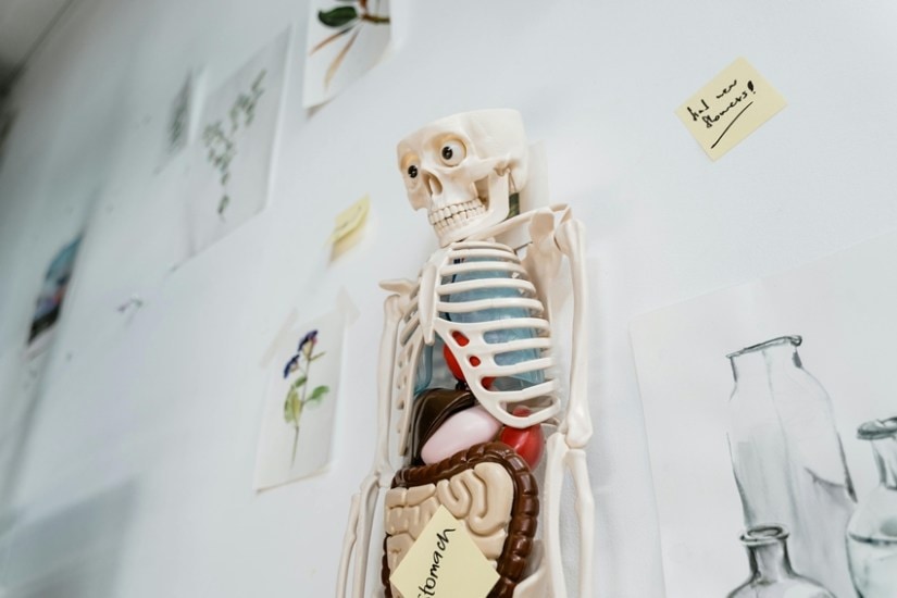 career in healthcare without MBBS