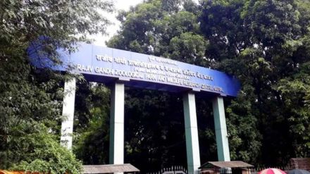 14 deer found dead at Rajiv Gandhi Zoo in Katraj zoo