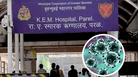 The deaths of patients at K.E.M. Hospital were not due to COVID, but because of serious other illnesses The deaths of patients at K.E.M. Hospital were not due to COVID, but because of serious other illnesses