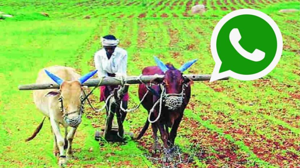 350 agricultural assistants in the district have left the government WhatsApp group due to the aggressive stance of the agricultural assistants