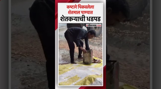 Washim lashed by heavy rains