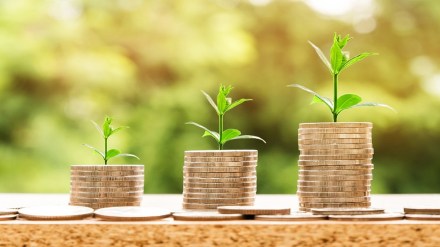 index funds , passive funds , funds , loksatta news,