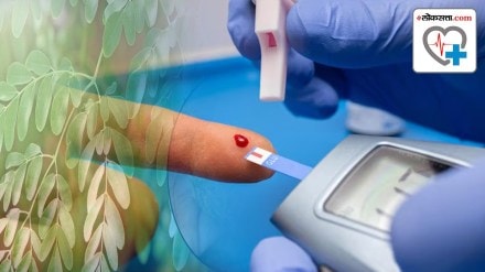 Health Tips Moringa Leaves for Diabetes Control Health Tips Moringa Leaves for Diabetes Control