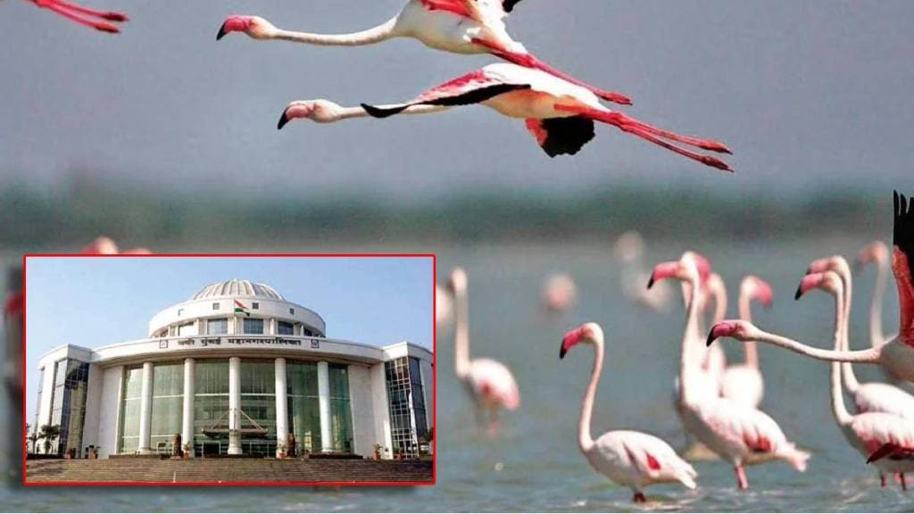 Navi Mumbai Municipal Corporation ignores flamingo sculptures built at a cost of crores of rupees