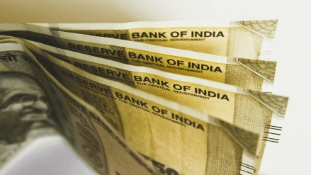 42 crore rupees fraud in Shraddha Saburi Co-operative Society, case filed against 28 individuals including directors