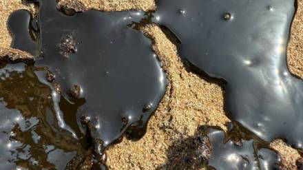 impact of oil spills on juhu beaches