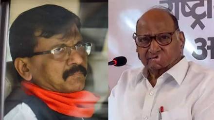 Sharad Pawar political views on international issues