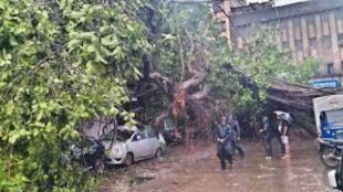 pune dangerous tree branches ignored by pmc