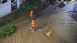 tree fall incidents in Pune news in marathi