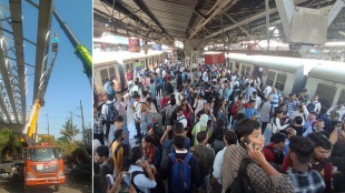 Train service on Trans-Harbour route from Thane to Vashi, Panvel stopped due to girder airoli bridge
