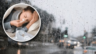 infectious diseases monsoon