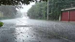 Stormy rains in Ahilyanagar uprooted 20 trees and 15 to 20 electricity poles