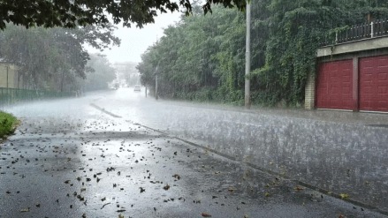 Stormy rains in Ahilyanagar uprooted 20 trees and 15 to 20 electricity poles