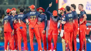 royal challengers bengaluru