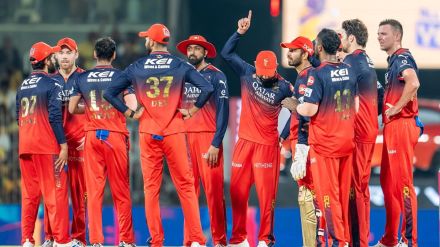 royal challengers bengaluru