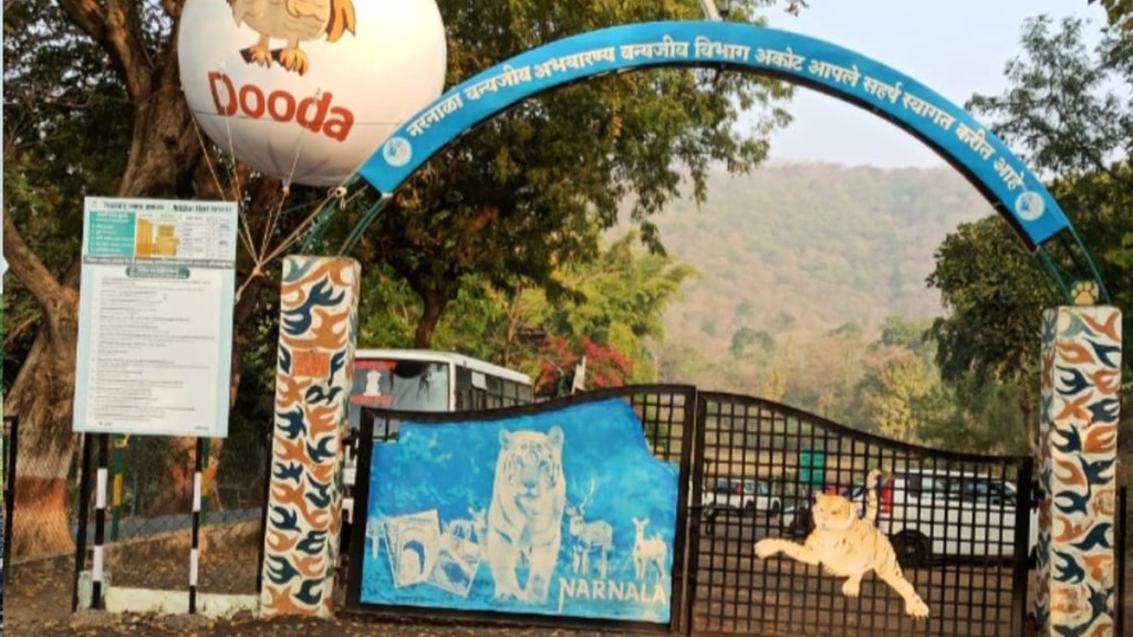 safari has been shut for the past three days due to strike nagpur safari has been shut for the past three days due to strike nagpur