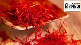 saffron prices are rising faster than gold