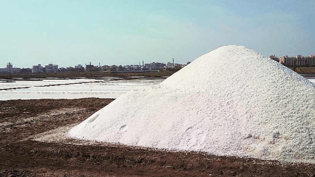 Wet drought hits salt production in Mira-Bhayandar 66% drop in output, salt pans on the verge of shutting down
