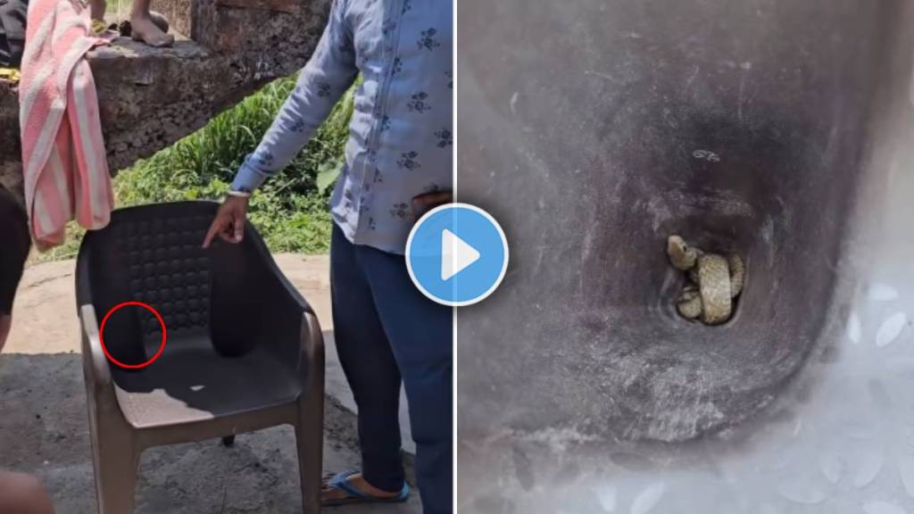 snake viral video | animal viral video