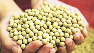 Vasantrao Naik Marathwada Agricultural University has sold 400 quintals of seeds of various varieties this year