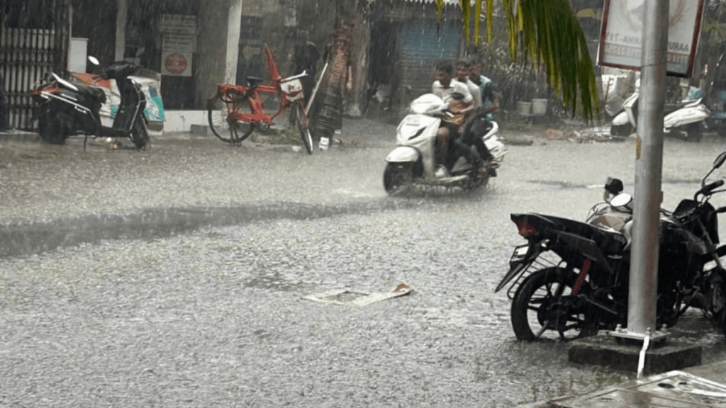 Rain with strong winds in Thane trees and branches fell in many places Rain with strong winds in Thane trees and branches fell in many places