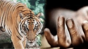 nagpur bor tiger reserve human wildlife conflict