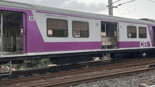 The buffalo died in a local train accident, causing a disruption in local train services mumbai
