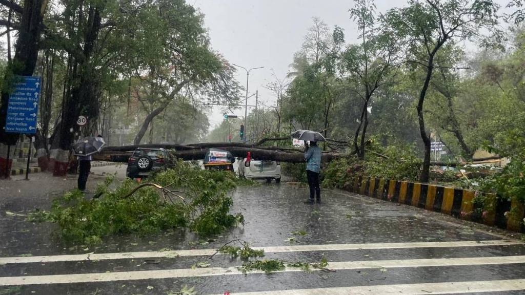 Nashik weather crisis news in marathi