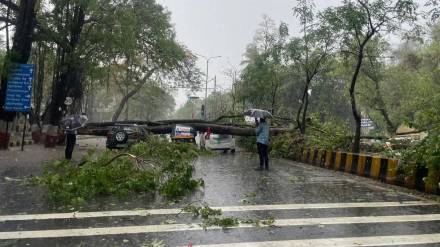 Nashik weather crisis news in marathi