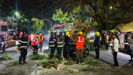 Parked car damaged after a tree branch fell on it thane