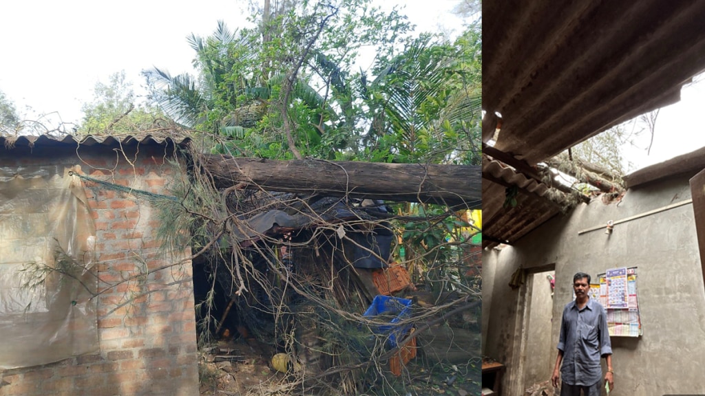 Strong winds and unseasonal rain have caused damage in Palghar