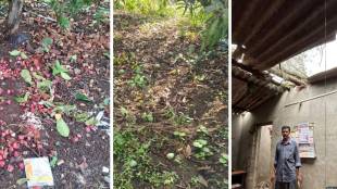 loksatta sharbat Disaster due to unseasonal rains in Palghar district