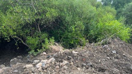 vasai kandalvan encroachment action