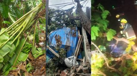 normal life disruption in Vasai Virar