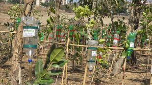 vasai tree saving initiative nanhe foundation summer heat