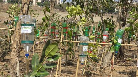 vasai tree saving initiative nanhe foundation summer heat
