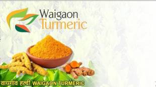 Atma and Universal Exporters export Waigao turmeric to Dubai