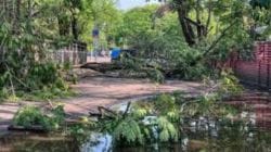रस्त्यावरून चालता चालता विचित्र अपघात; इमारतीची संरक्षक भिंत झाडावर आणि झाड महिलेच्या अंगावर पडले