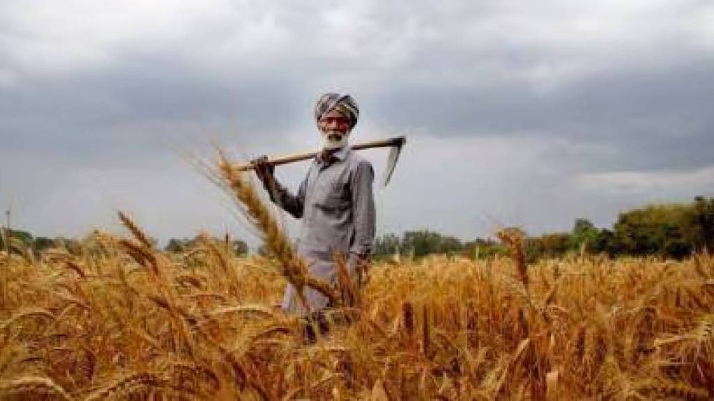 agricultural loans are higher in Mumbai than Marathwada and Vidarbha