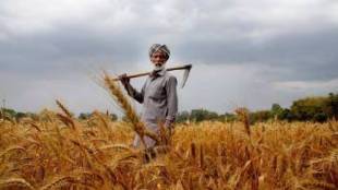 agricultural loans are higher in Mumbai than Marathwada and Vidarbha