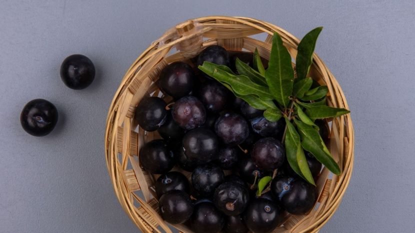 Jamun
