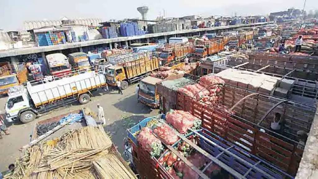 Potato prices drop sharply in APMC market farmers