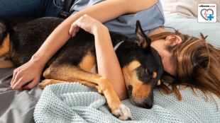 co-sleeping with pets and health impact