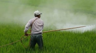 Portfolio Sharda Cropchem Limited Company Agrichemicals Marketplace Services
