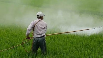 Portfolio Sharda Cropchem Limited Company Agrichemicals Marketplace Services