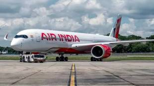 Air India Dreamliner door glitch