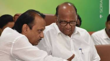 Ajit Pawar vs Sharad Pawar in Baramati (PTI Photo)