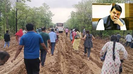 Chief Minister takes serious note of cutting of trees for industries and obstruction of forest department for roads in Sironcha